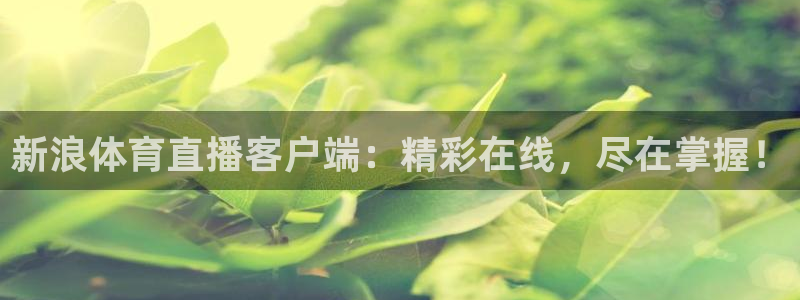 新浪体育直播客户端：精彩在线，尽在掌握！