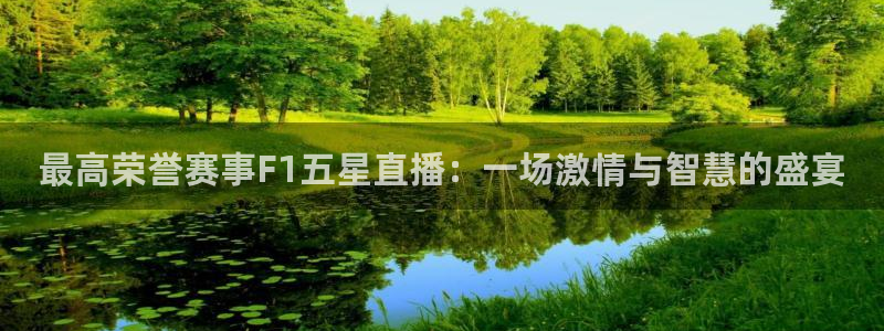最高荣誉赛事F1五星直播：一场激情与智慧的盛宴