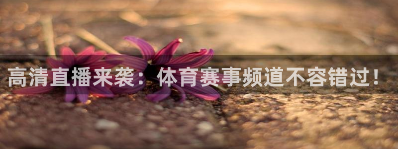高清直播来袭：体育赛事频道不容错过！